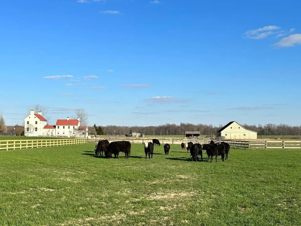Other Special Events at Marble Head Farm