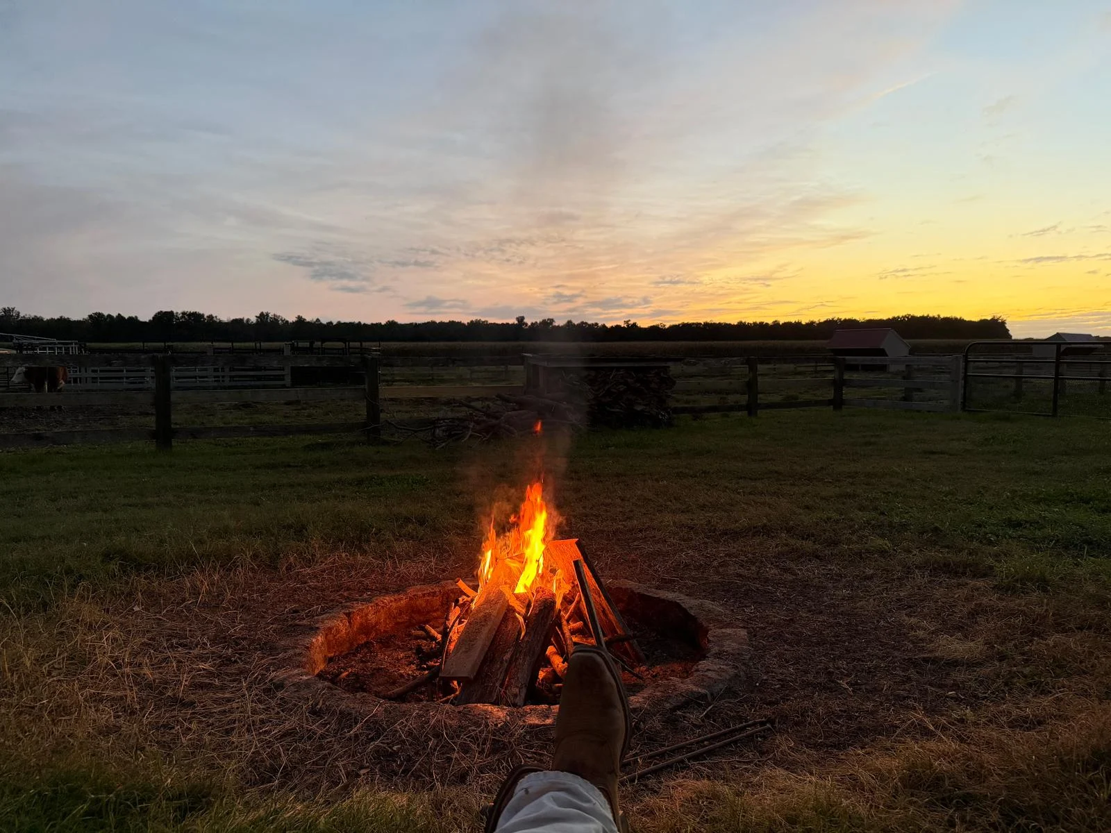 The Bonfire